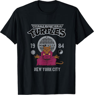 Teenage Mutant Ninja Turtles Master Splinter Meditation