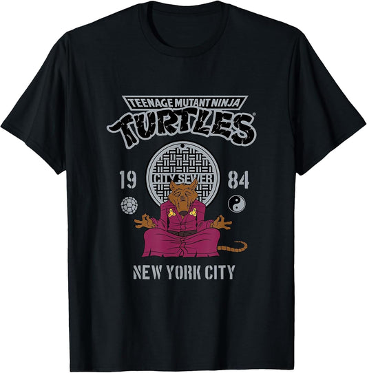 Teenage Mutant Ninja Turtles Master Splinter Meditation