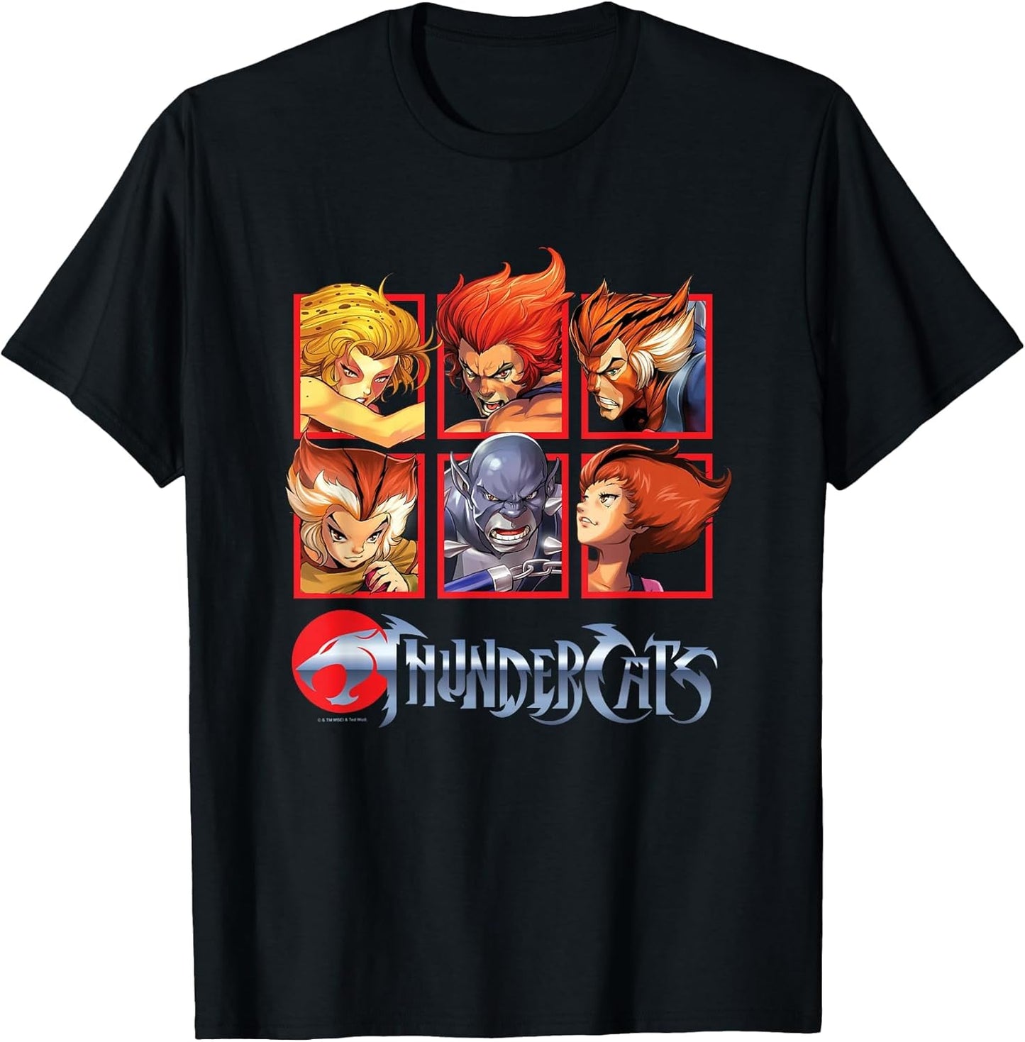 Thundercats Bring The Thunder Vintage Box Up