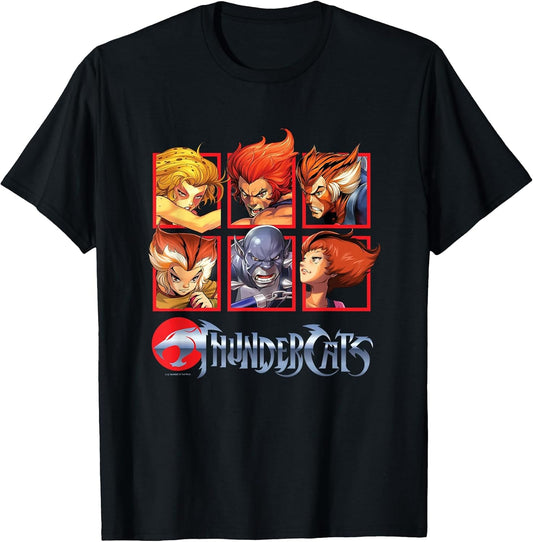 Thundercats Bring The Thunder Vintage Box Up