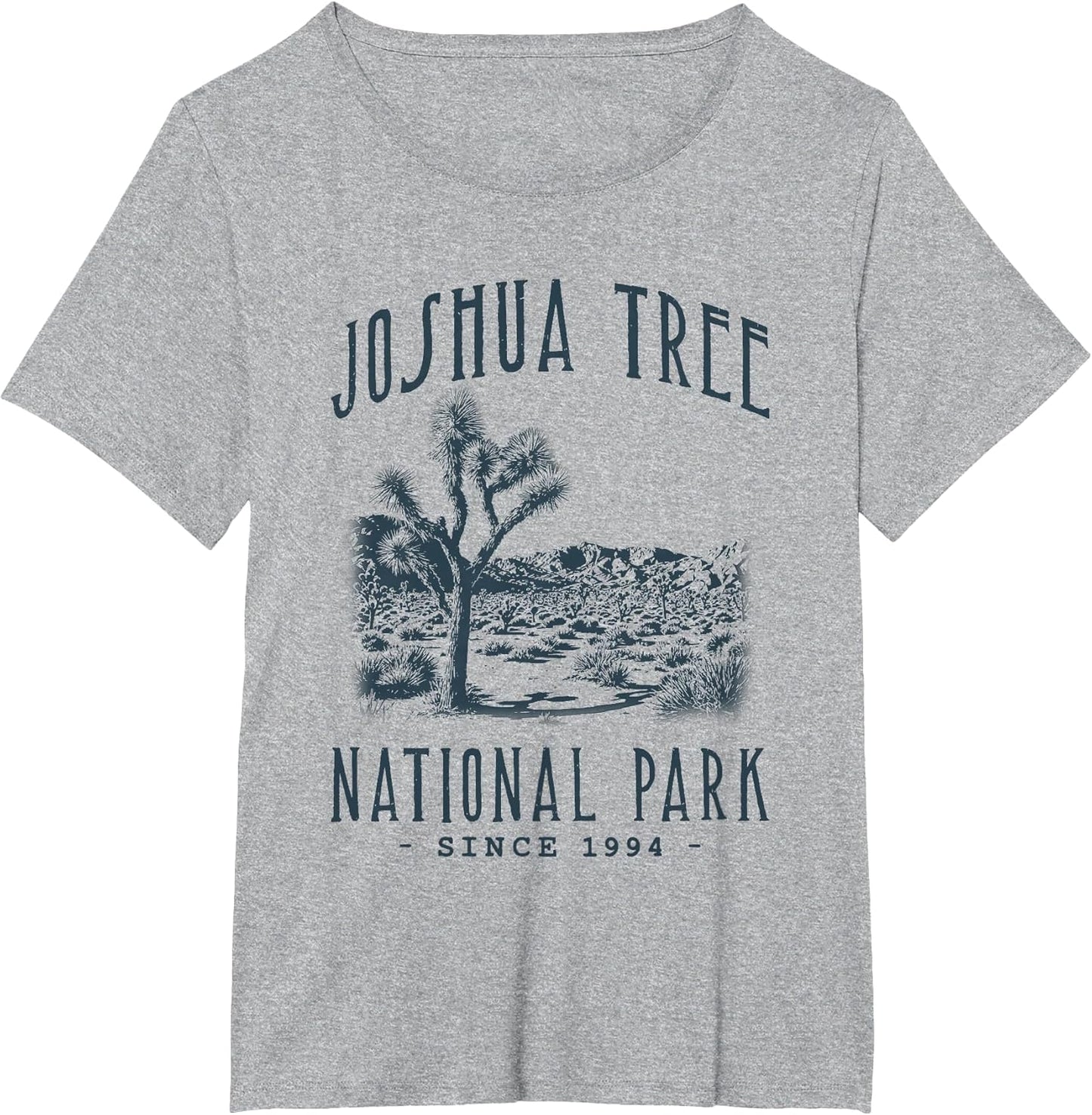 Joshua Tree National Park, California. Camping, Hiker