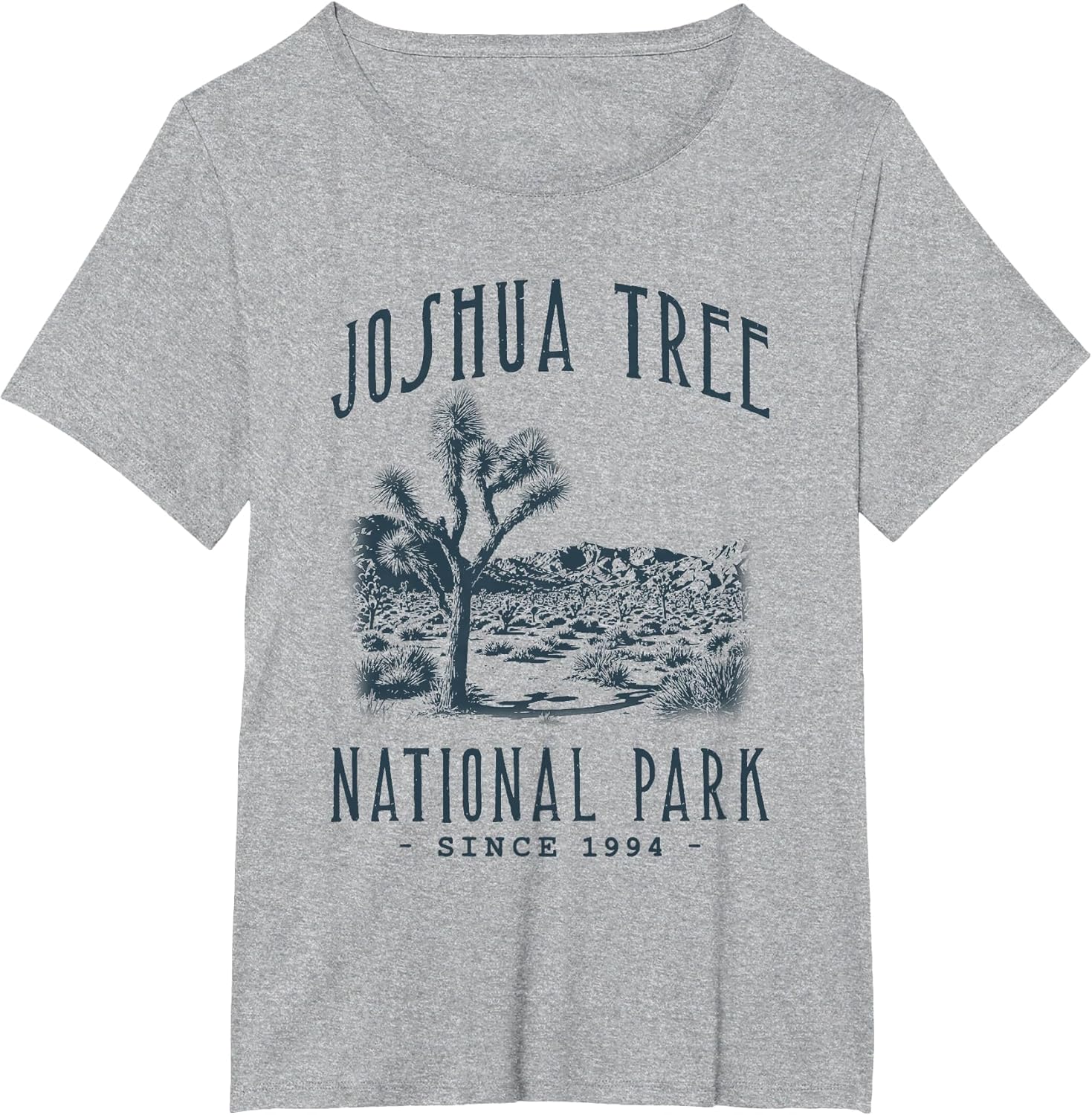 Joshua Tree National Park, California. Camping, Hiker