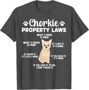 Chorkie Property Laws Chorkie Lover Chorkie Owner