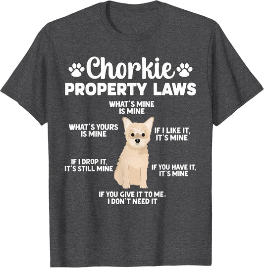 Chorkie Property Laws Chorkie Lover Chorkie Owner