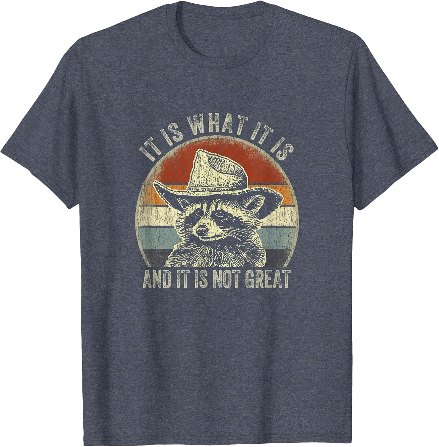 It is What It is and It is Not Great Raccoon Trash Panda