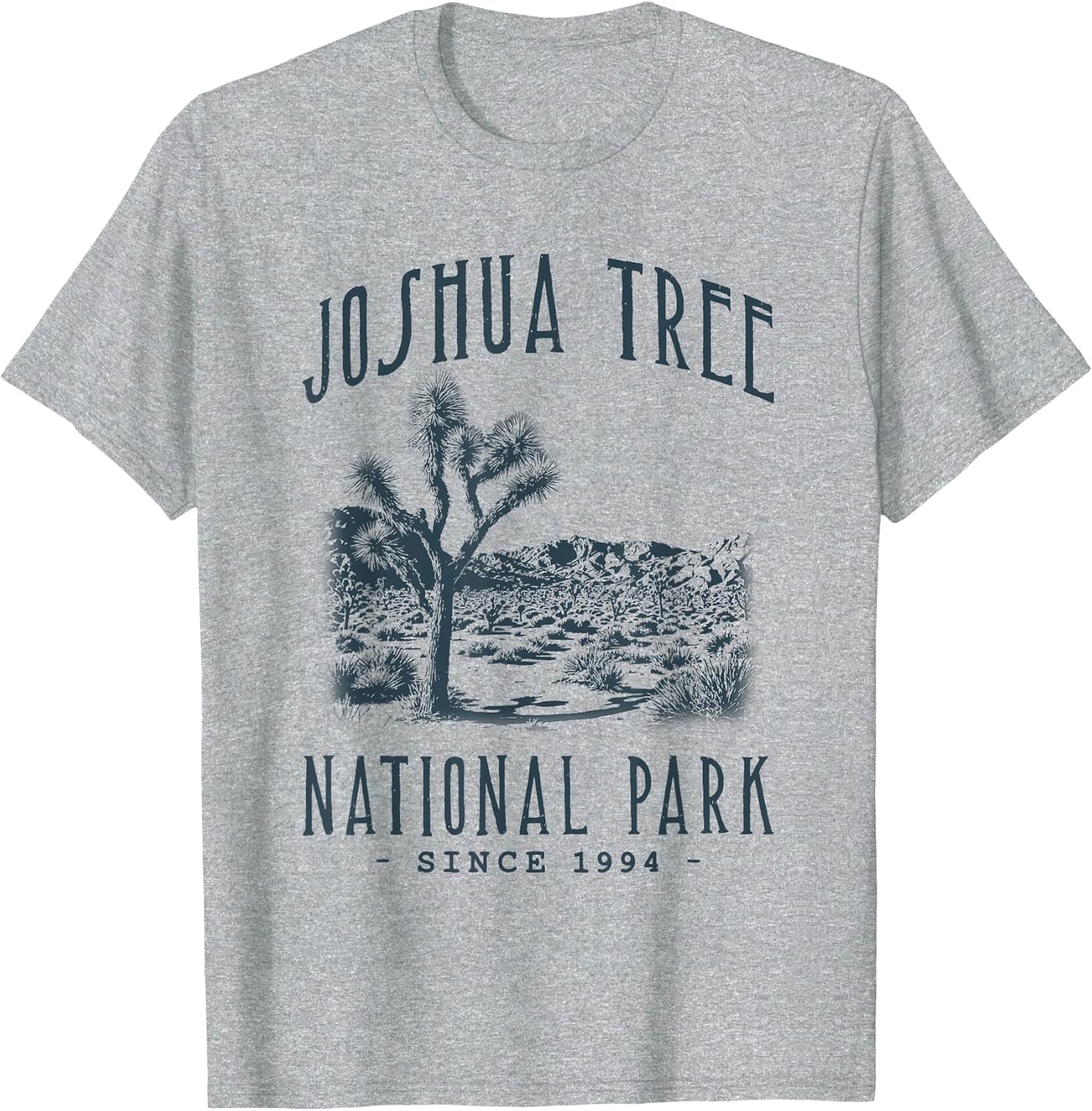 Joshua Tree National Park, California. Camping, Hiker