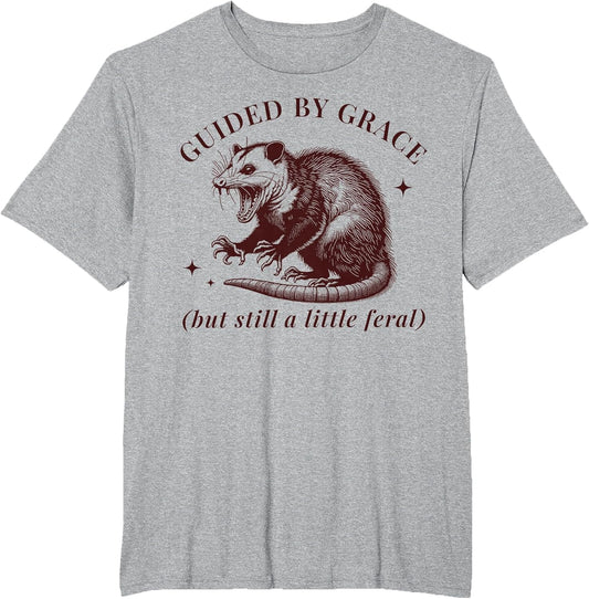 Guided by Grace Funny Possum Christian Feral Bible Saying