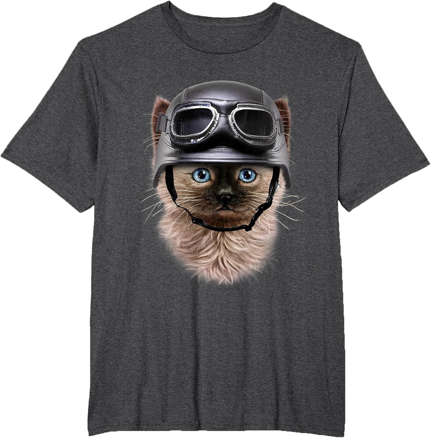 Siamese Kitten in Motorcycle Helmet, Cat