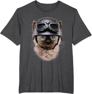 Siamese Kitten in Motorcycle Helmet, Cat