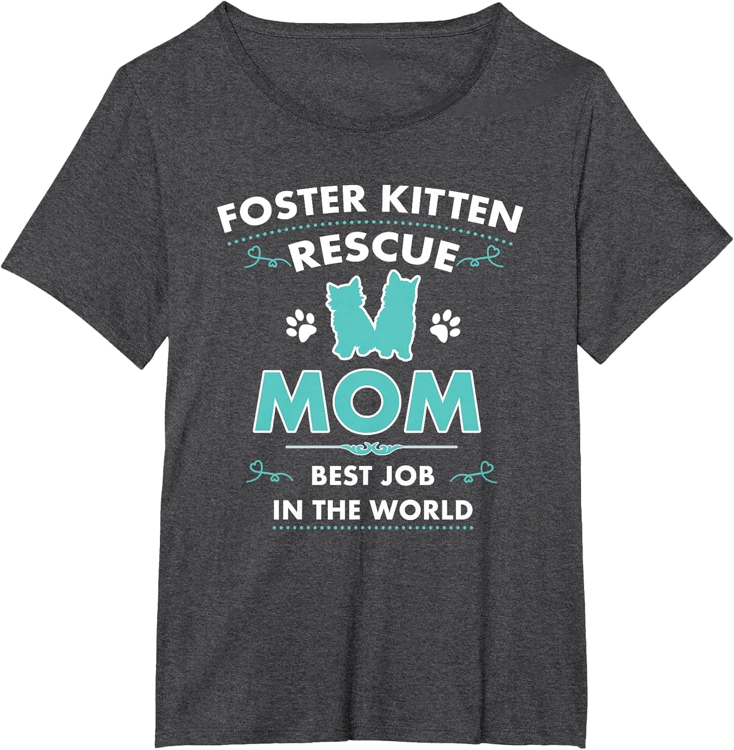 Cute Foster Kitten Rescue Mom Cat Adoption