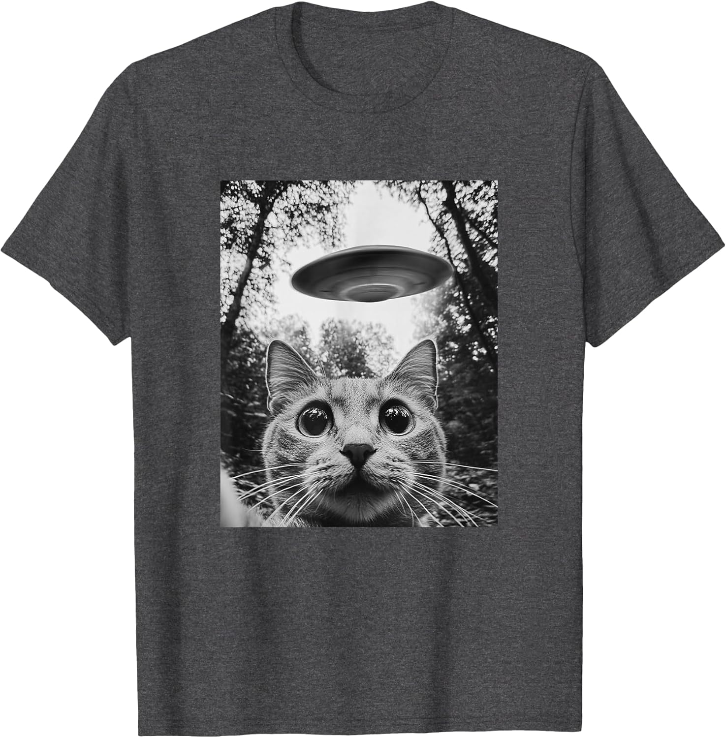 Funny Cat Selfie with UFO