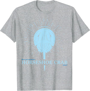 Have You Thanked A Horseshoe Crab Today