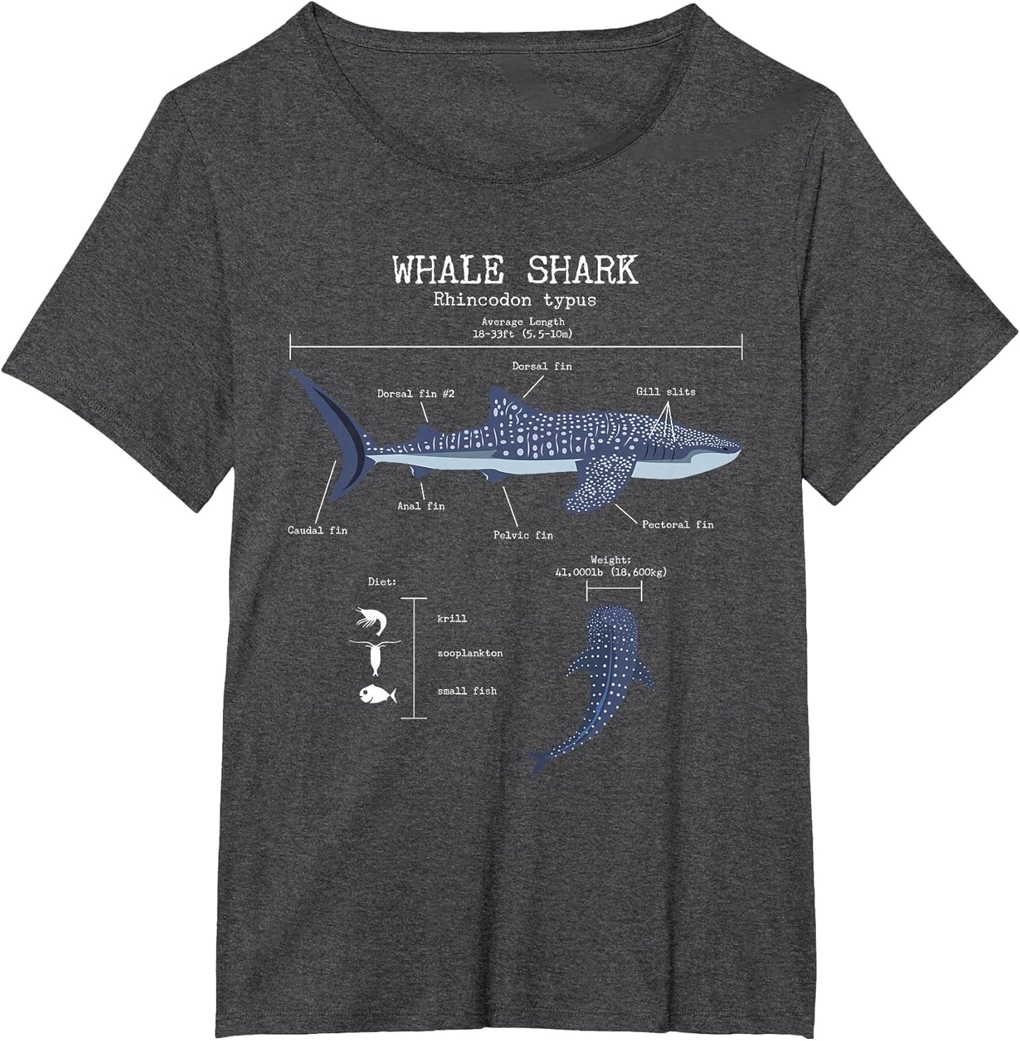 Whale Shark Anatomy Men's Women's Kids Whale Shark