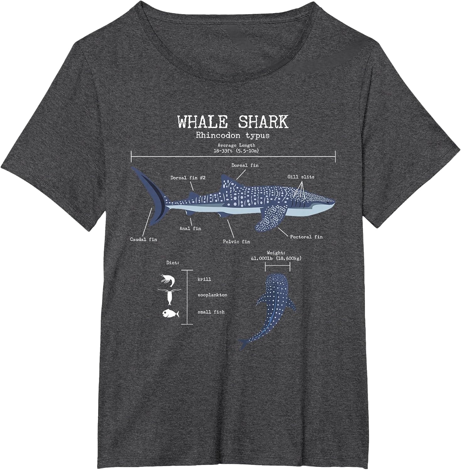 Whale Shark Anatomy Men's Women's Kids Whale Shark