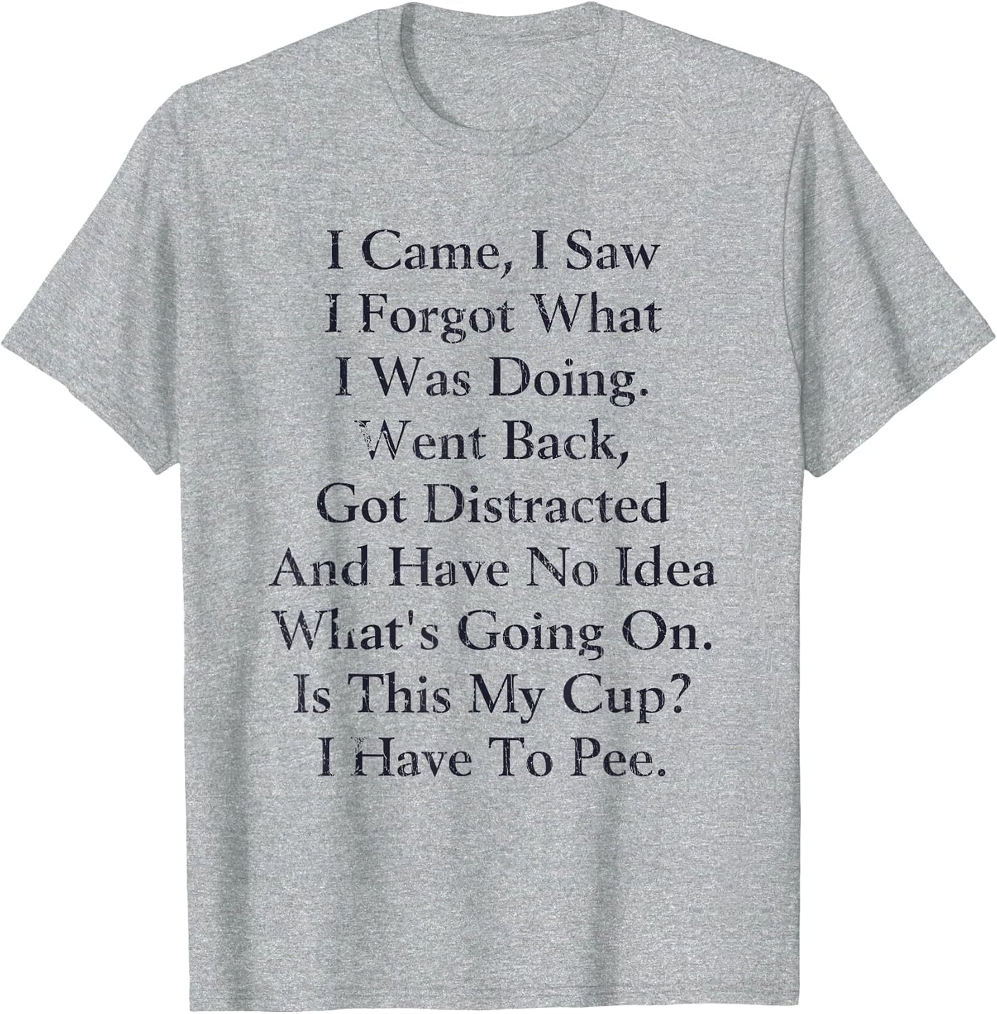 I Came I Saw I Forgot What I Doing Went Back Got Distracted
