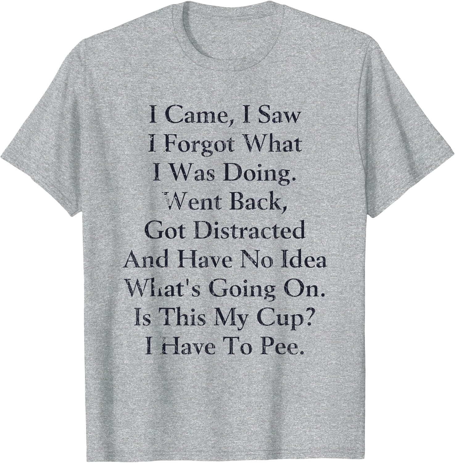 I Came I Saw I Forgot What I Doing Went Back Got Distracted