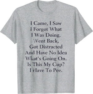 I Came I Saw I Forgot What I Doing Went Back Got Distracted
