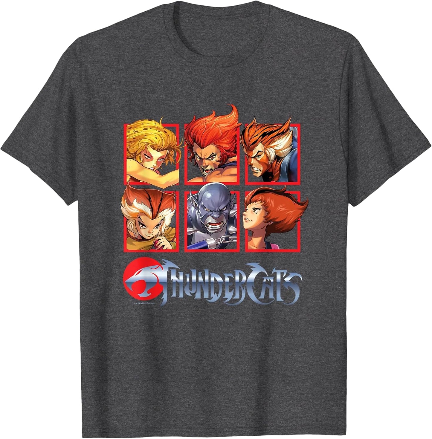 Thundercats Bring The Thunder Vintage Box Up
