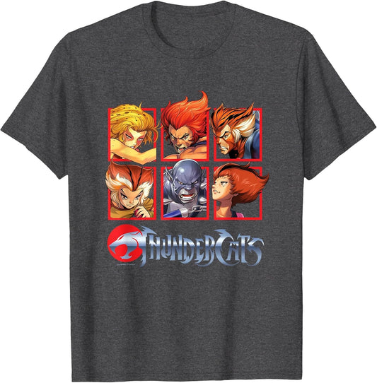 Thundercats Bring The Thunder Vintage Box Up