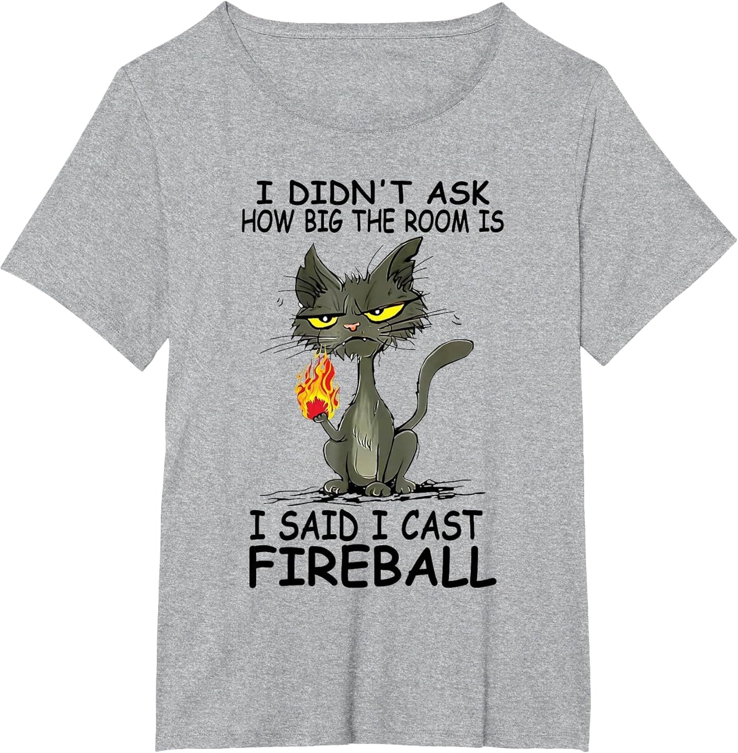I Didn't Ask How Big The Rooms is Said I Cast Fireballs Cat