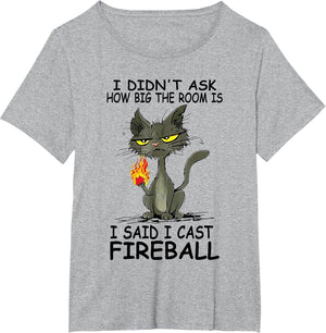 I Didn't Ask How Big The Rooms is Said I Cast Fireballs Cat