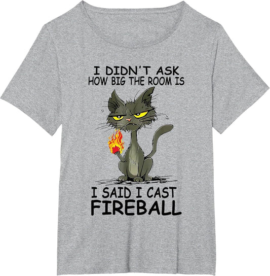 I Didn't Ask How Big The Rooms is Said I Cast Fireballs Cat