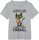 I Didn't Ask How Big The Rooms is Said I Cast Fireballs Cat