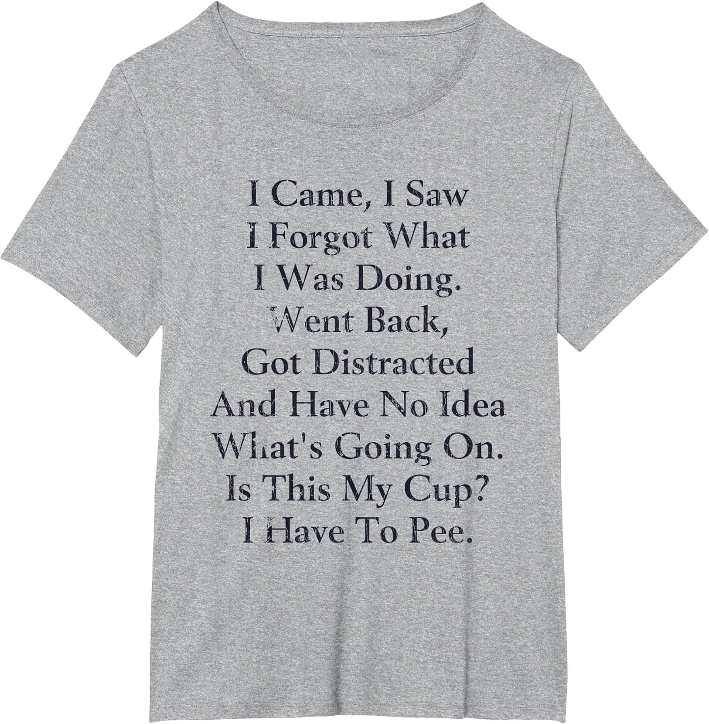 I Came I Saw I Forgot What I Doing Went Back Got Distracted