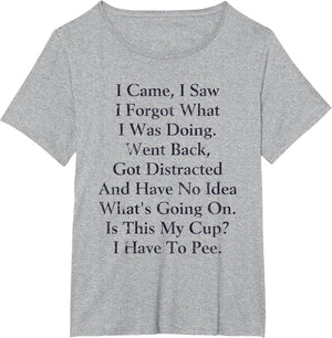 I Came I Saw I Forgot What I Doing Went Back Got Distracted