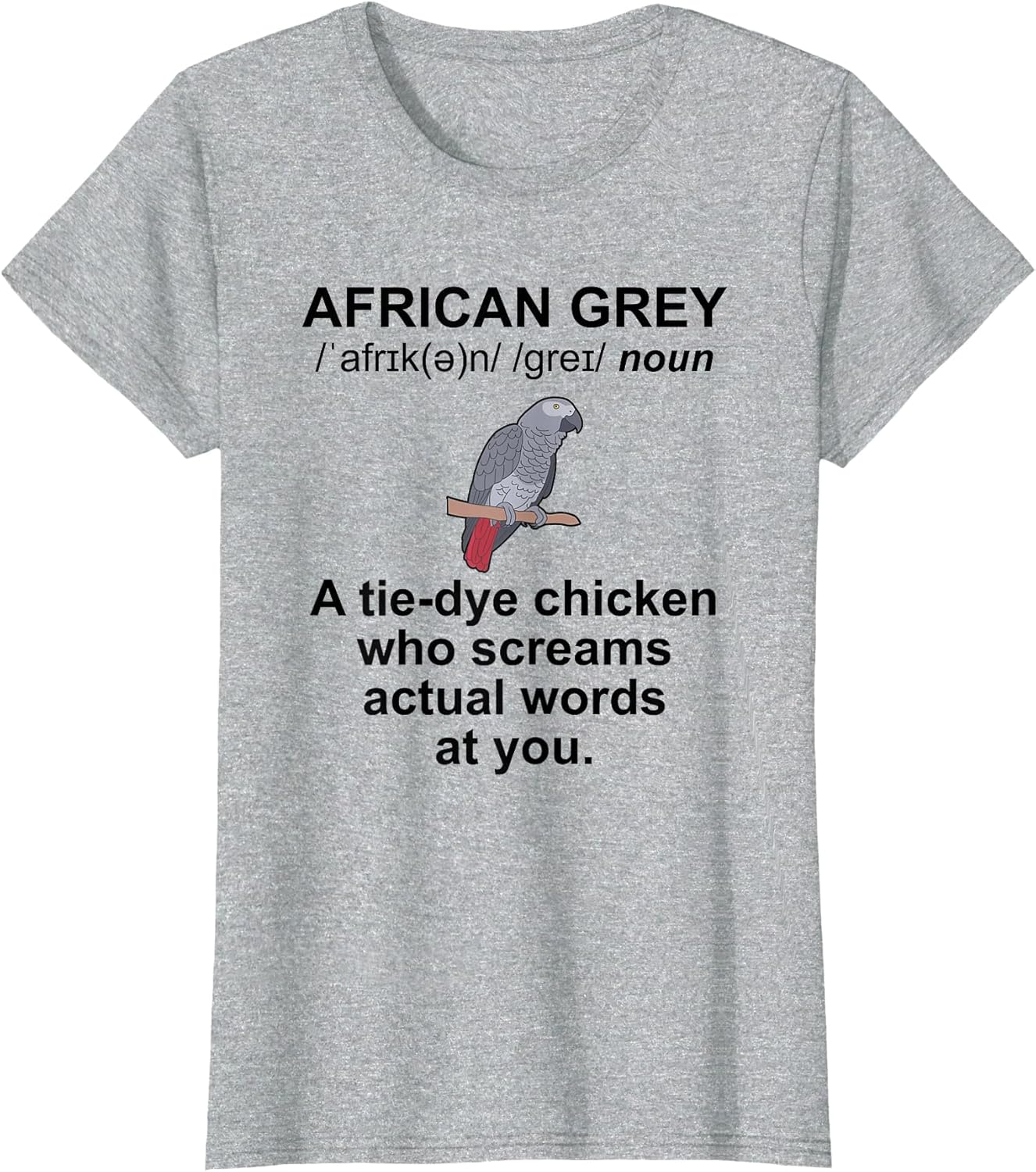 African Grey Owner Definition African Grey Parrot Lover
