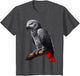 African Grey Parrot