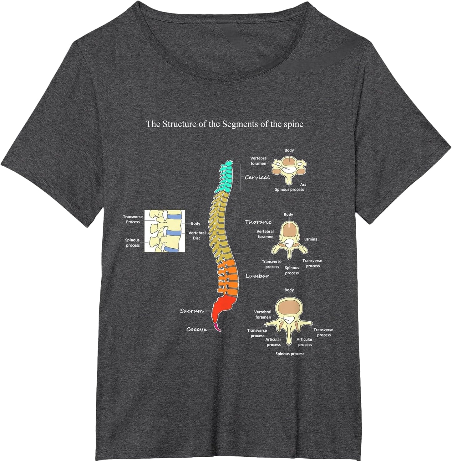 Spine Anatomy Artwork Chiropractic Medical Orthopedic T