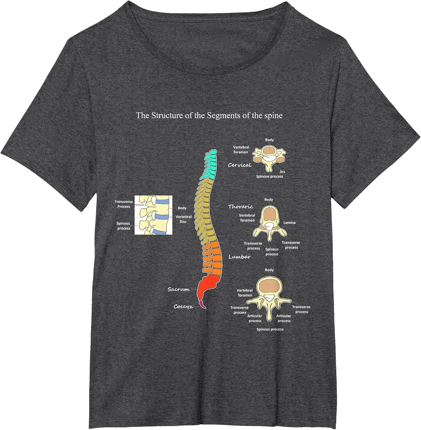 Spine Anatomy Artwork Chiropractic Medical Orthopedic T