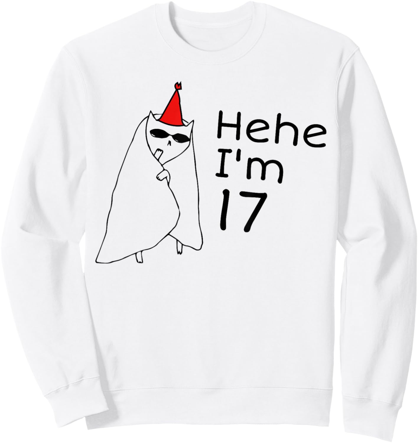 17th Birthday Party Funny 17 Years Old Birthday Teens Sweatshirt - Sweatshirt | White