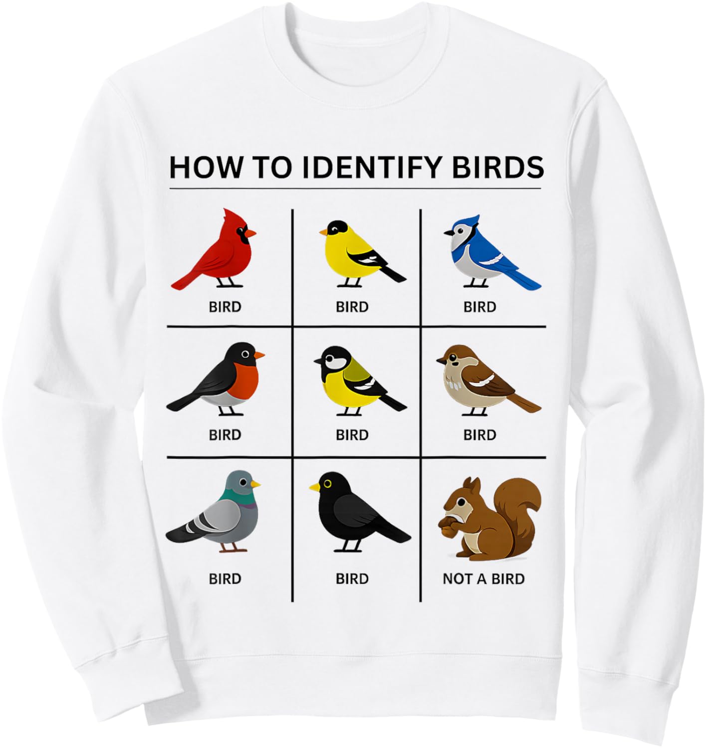 How to Identify A Bird Funny Birdwatching Cute Squirrel Joke Sweatshirt - Sweatshirt | White