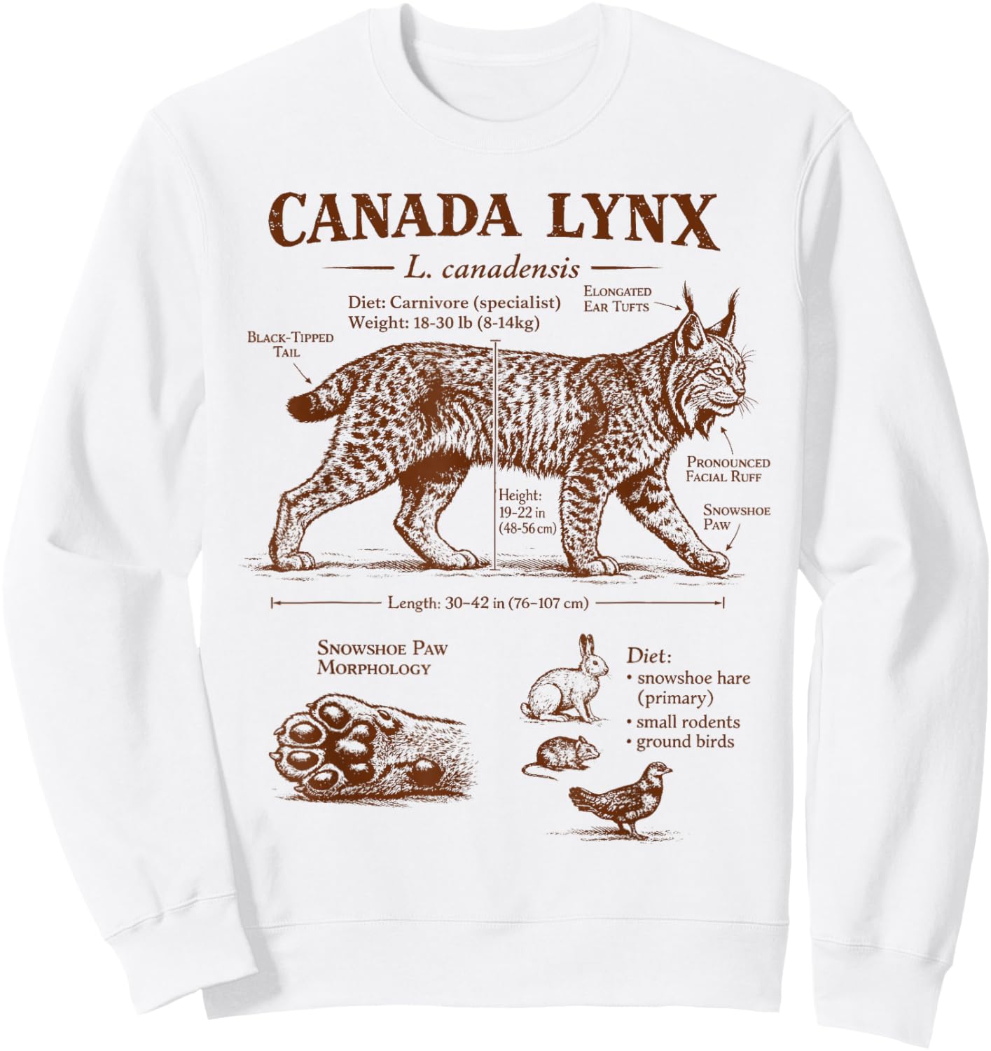 Canada Lynx Anatomy Wildlife Wild Animal Lover Zoologist Sweatshirt - Sweatshirt | White
