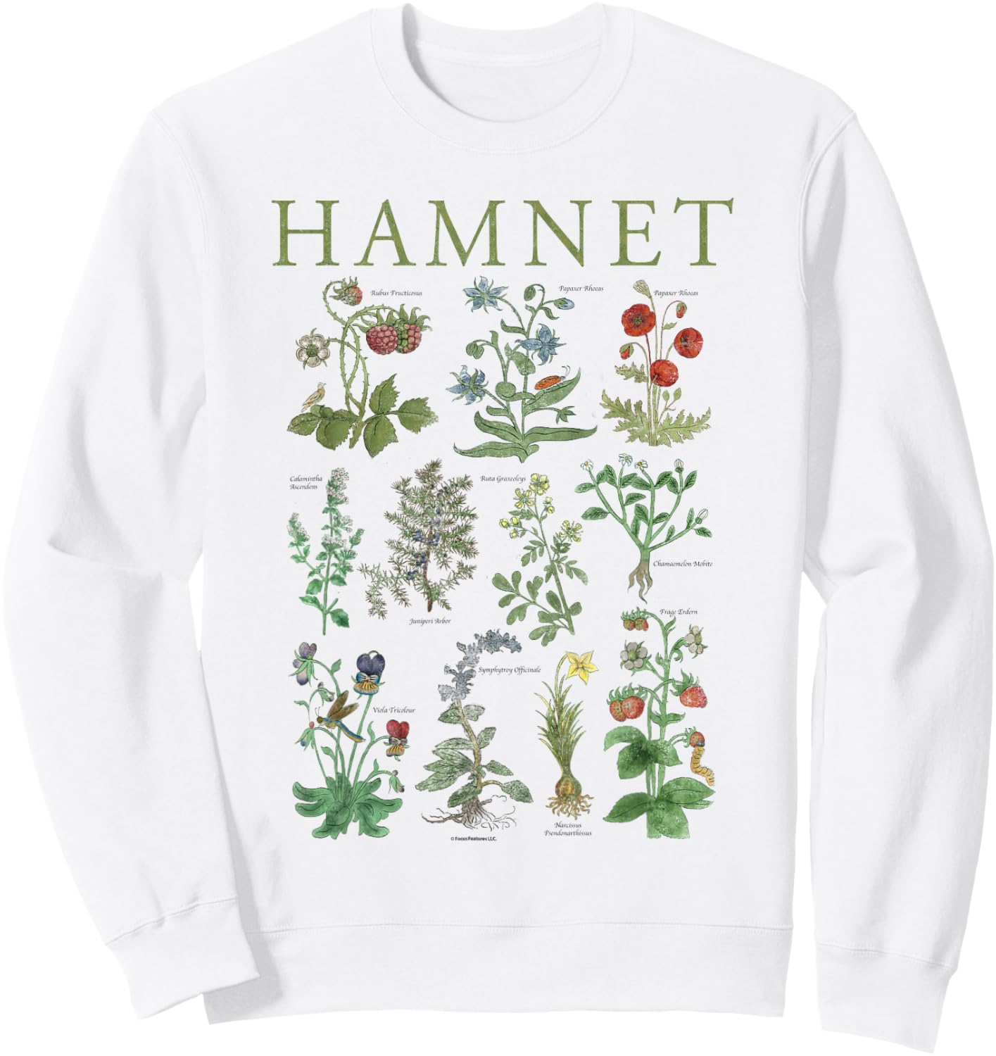 Botanical Illustration Sweatshirt - Sweatshirt | White