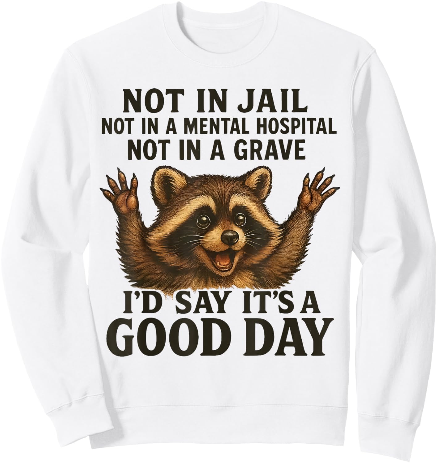 Raccoon Not in Jail Not in A Mental Hospital Funny Saying Sweatshirt - Sweatshirt | White