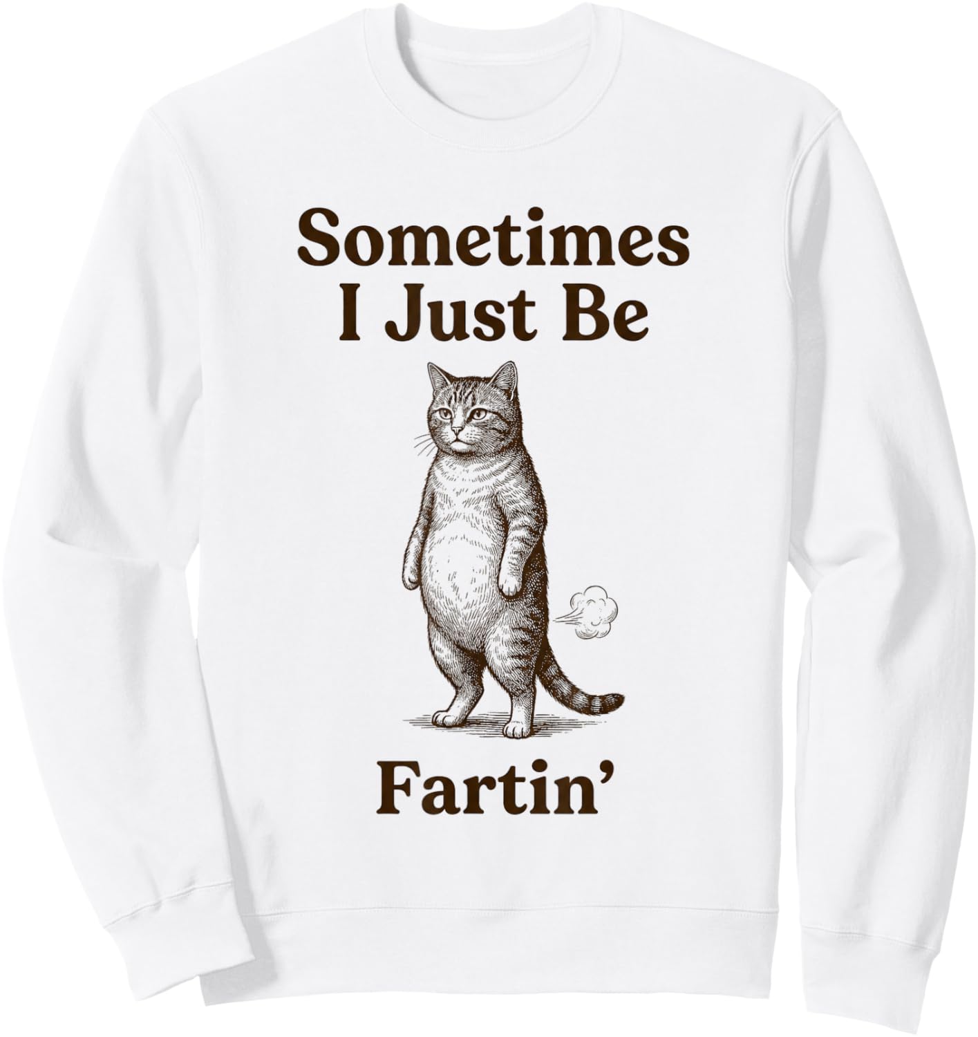 Cat Sometimes I Just Be Fartin Meme Style Sweatshirt - Sweatshirt | White