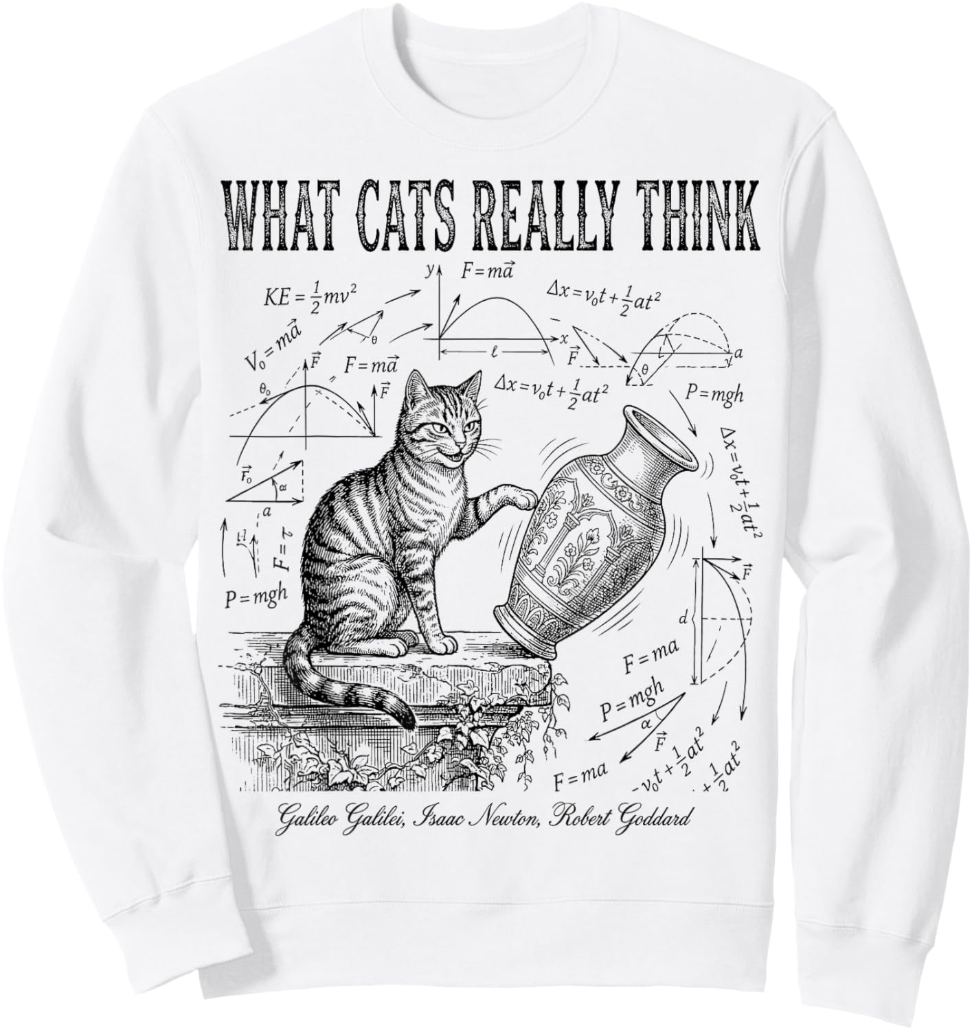 Funny Science What Cats Really Think Physics Nerd Humor Sweatshirt - Sweatshirt | White