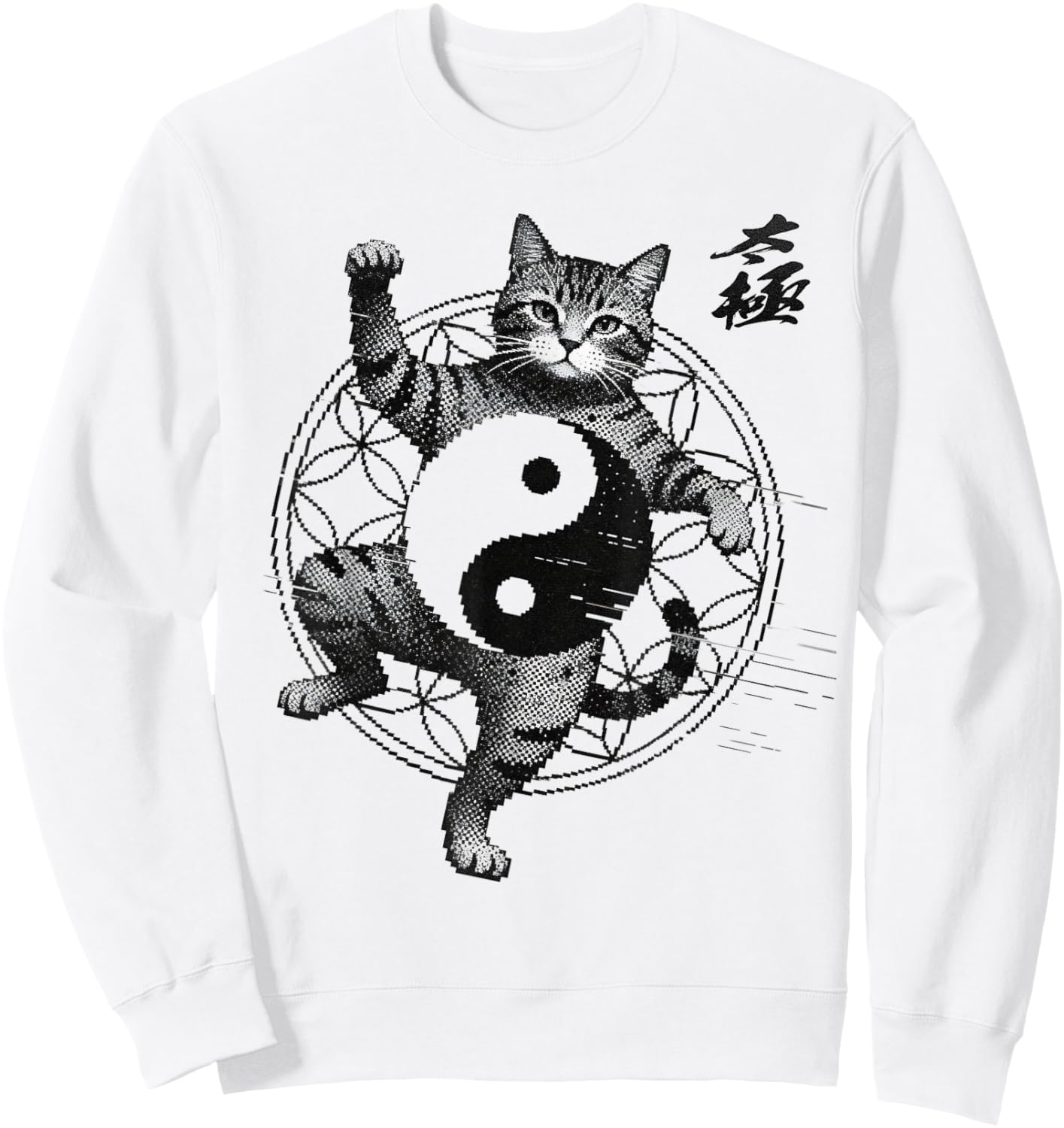 Funny Cat Demonstrating Tai Chi Martial Arts Yin Yang Glitch Sweatshirt - Sweatshirt | White