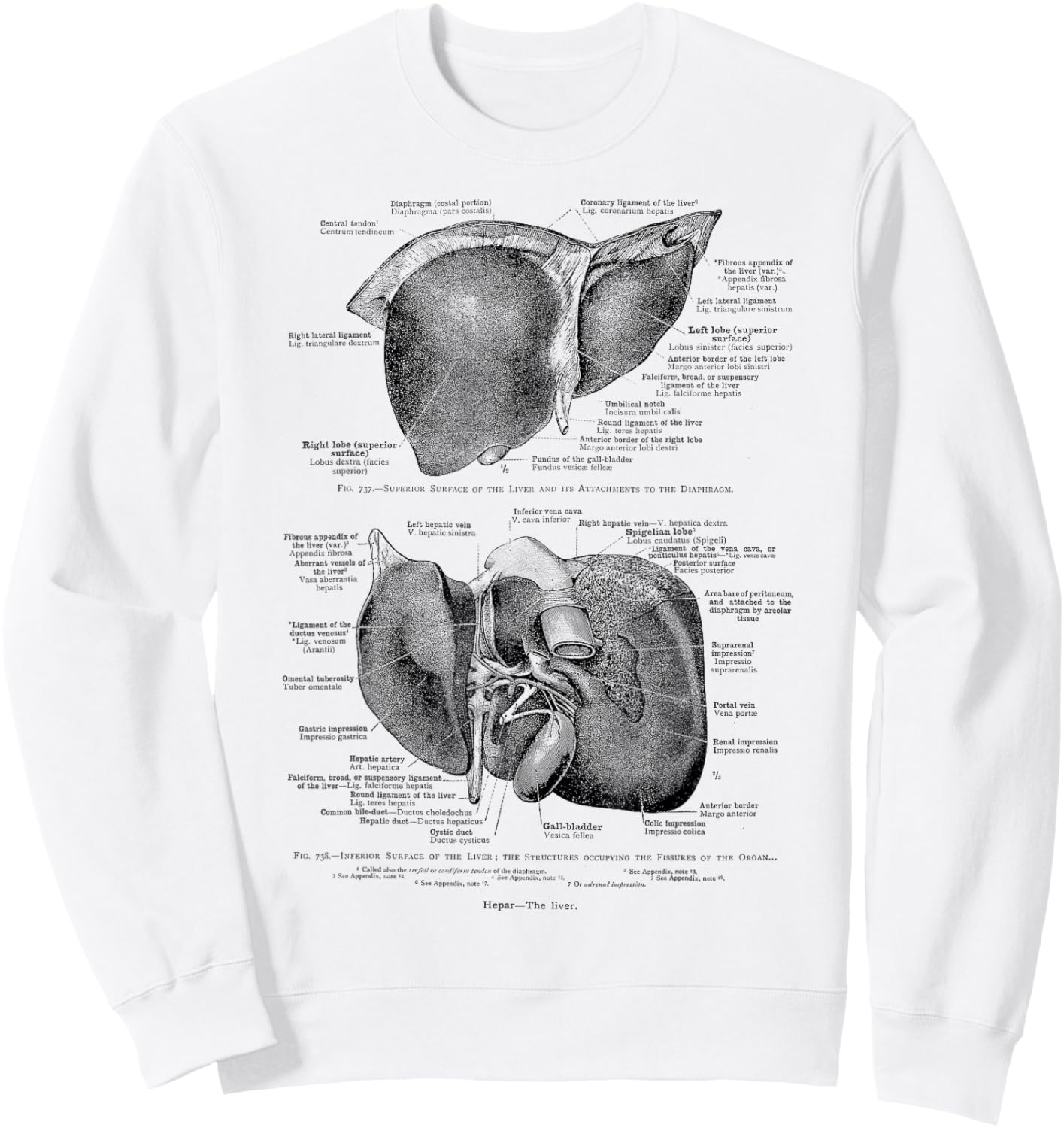 Human Liver Vintage Anatomy Anatomical Liver Sweatshirt - Sweatshirt | White