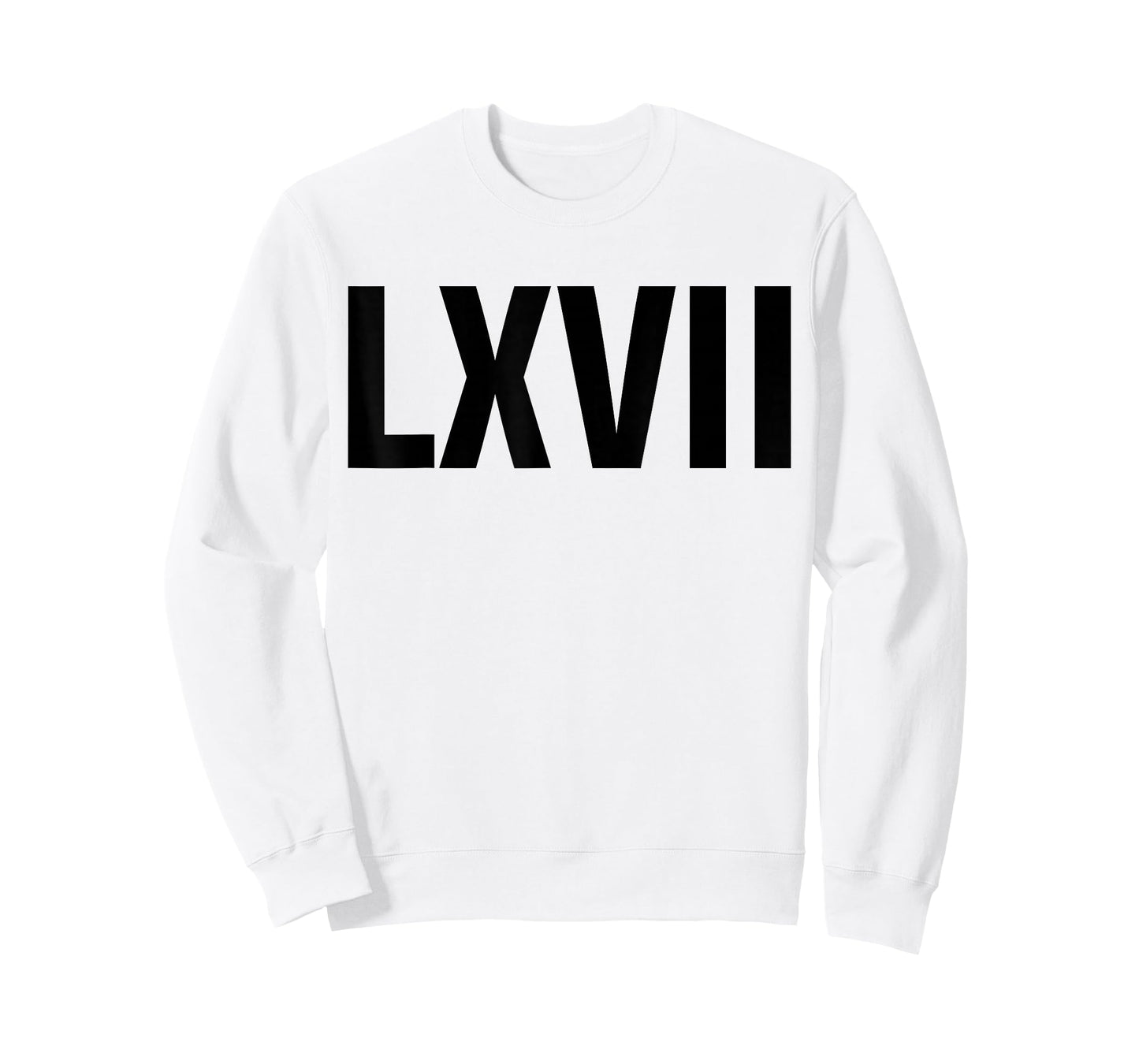Roman 67 Year Old Funny Teacher 67th Birthday LXVII Meme 6 7 T-Shirt