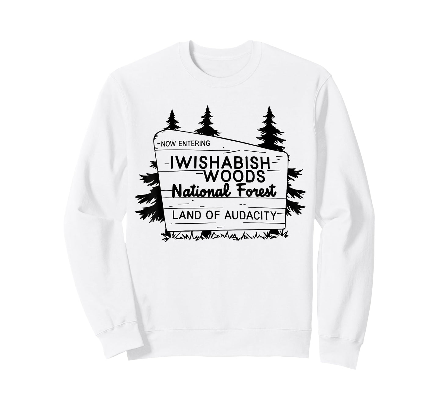 Now Entering Iwishabish Woods National Forest Land Audacity T-Shirt