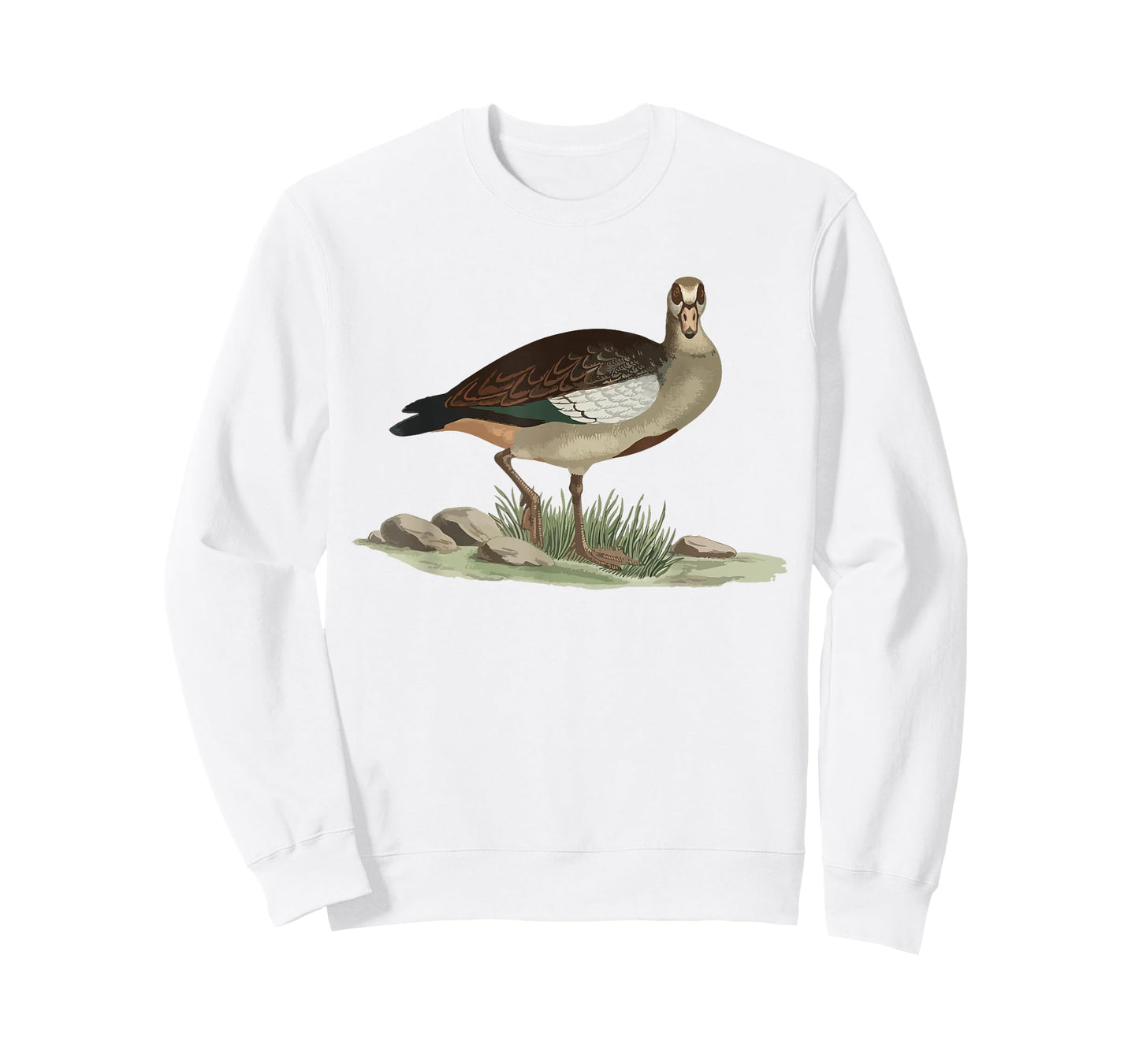 Vintage Egyptian Goose Nature Wildlife Ornithology T-Shirt