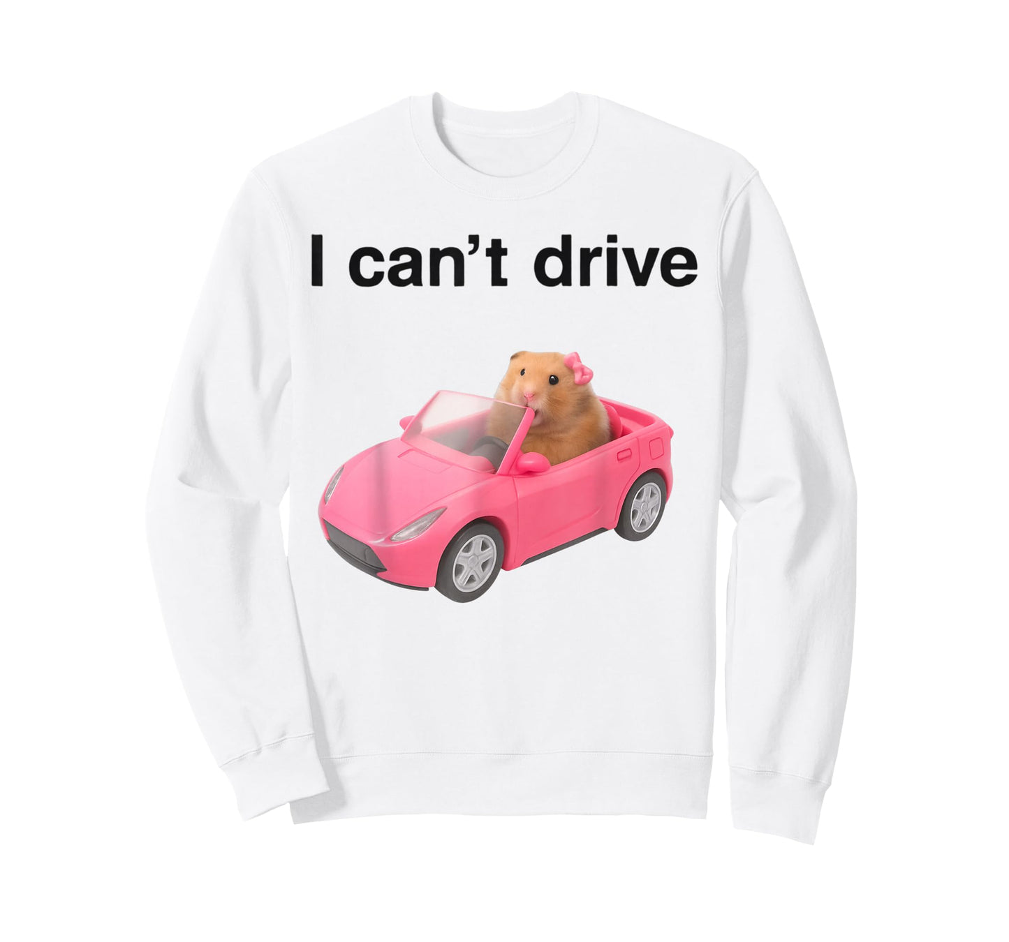 i Cant Drive Hamster Funny Meme Rat Lovers Meme Y2K Tee T-Shirt