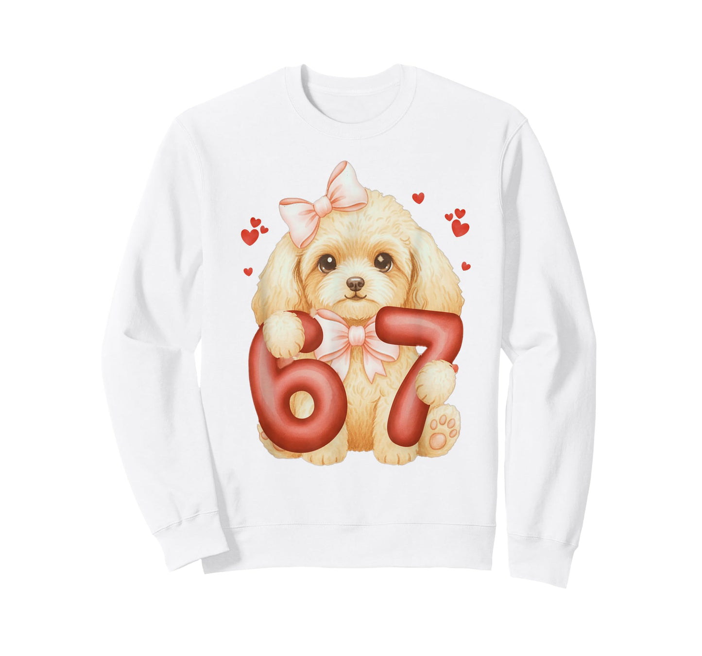 Cute Coquette Poddle Dog 67 Meme Six Seven Love Girl Women T-Shirt