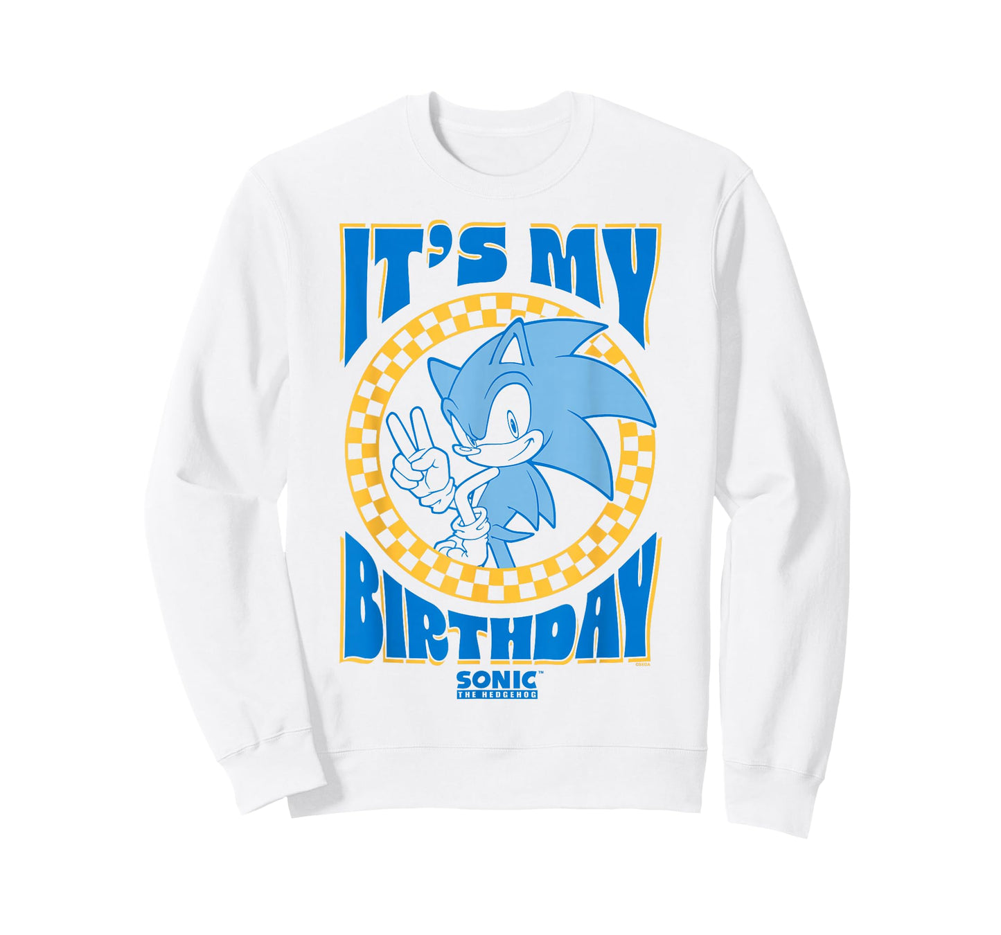 Sonic The Hedgehog It's My Birthday Cool Sonic Pose Poster T-Shirt
