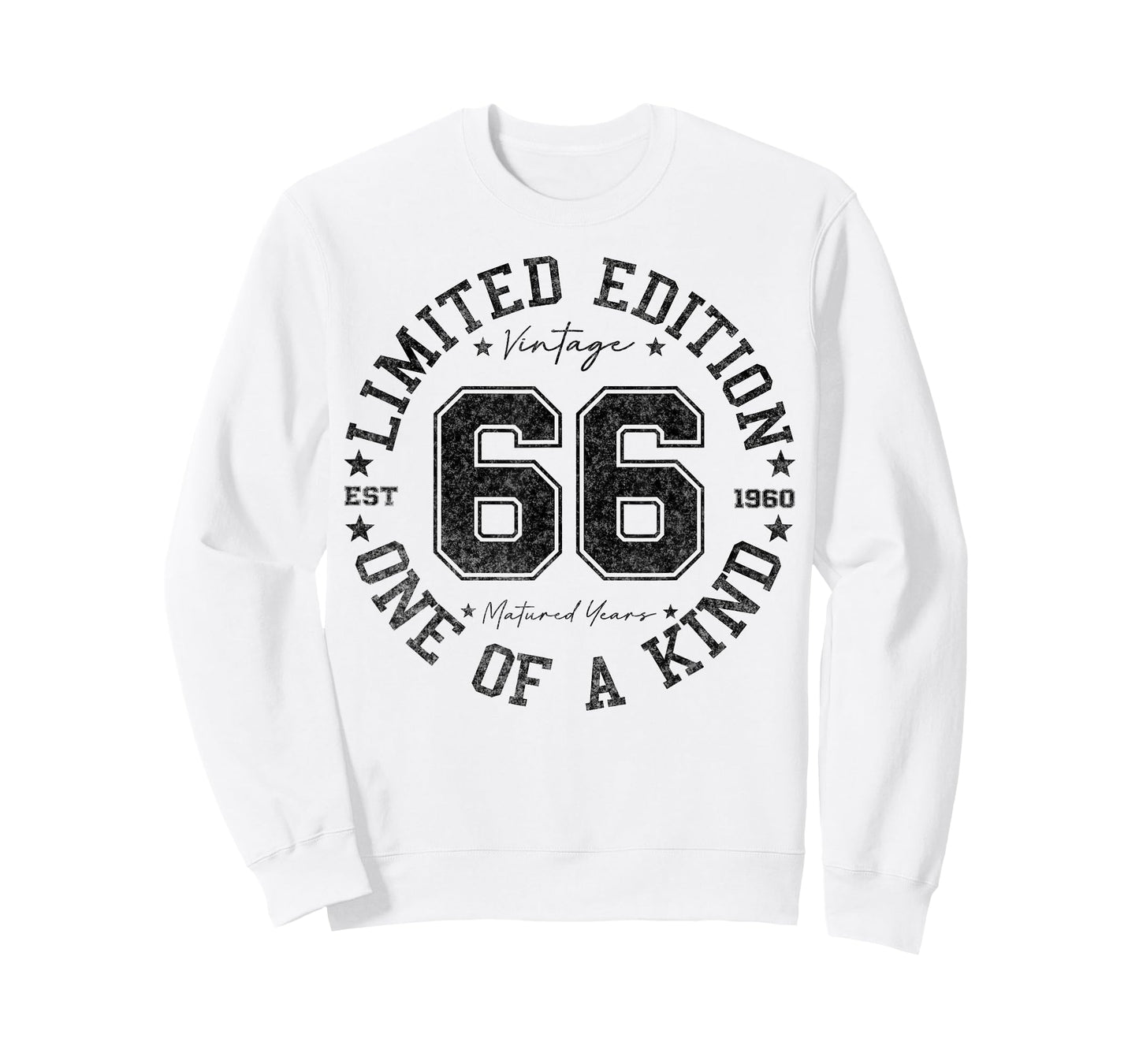 66 Year Old Gifts Vintage 1960 Limited Edition 66th Birthday T-Shirt