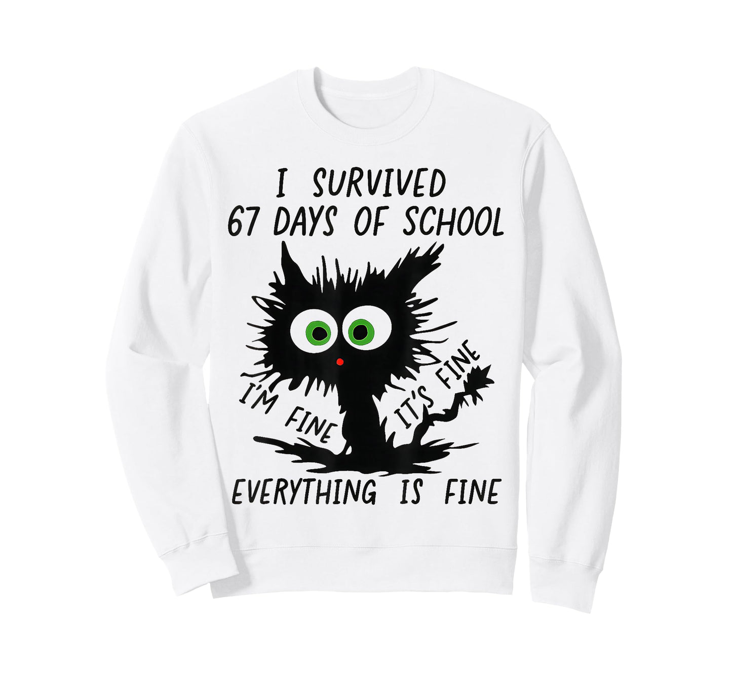 I Survived 67 Days of School Funny Teachers Students Humor T-Shirt